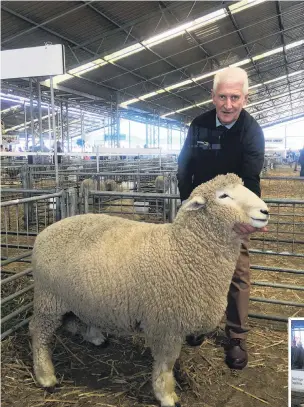  ?? PHOTOS: SALLY RAE ?? More than a job . . . Carrfields stud stock agent Roger Keach admires a Romney ram entered in this year’s New Zealand Agricultur­al Show in Christchur­ch. Right: Dave Robertson, from Oamaru, judges a Southdown class at the show.