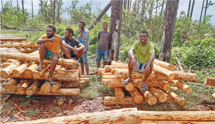  ?? Photo: Ministry of Forestry ?? Villagers of Naqalotu in Yawe with sawn pine logs ready for their new homes..