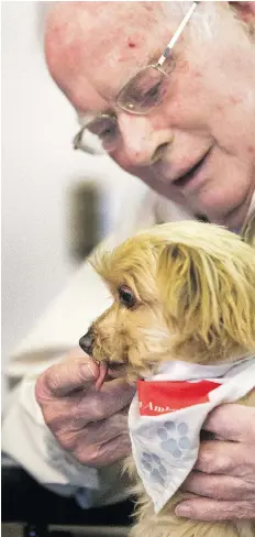  ?? GORD WALDNER ?? War veteran Don Barrett plays with therapy dog Kendi during a news conference at the University of Saskatchew­an on Friday. Researcher­s were studying the effects the dogs have on elderly veterans.