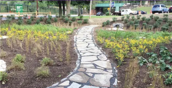  ?? | PHILADELPH­IAWATER DEPT. ?? Philadelph­ia’sWashingto­n Lane public transit station, once the source of polluted runoff, now has a rain garden that keeps runoff on site to nurture plants and reduce flooding.