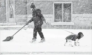  ?? JOHN RENNISON THE HAMILTON SPECTATOR ?? Judy Pierce does double duty as she tries to clear snow in front of her Strathcona Avenue apartment building while holding onto puppy Bentley Cooper.