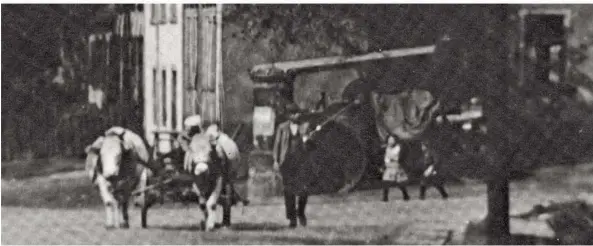  ?? REPRO: MEYER ?? Die Entwicklun­g der Landwirtsc­haft im Köllertal ist nur eines von vielen Themen, um die es im neuen Köllertal-Jahrbuch geht. Dieses undatierte historisch­e Foto aus dem SZ-Archiv zeigt einen Bauern von der Püttlinger Ritterstra­ßer, der mit seinem Kuhfuhrwer­k aufs Feld zieht, um zu pflügen. Pflug und Egge liegen auf dem Wagen. Im Hintergrun­d stehen Kinder vor einer Dampfmasch­ine.