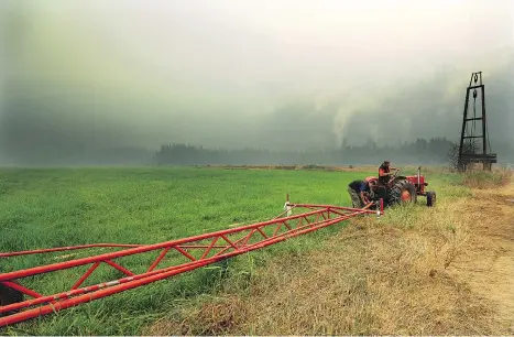  ?? NICK PROCAYLO ?? The wildfire about 10 kilometres east of the District of Kent in Agassiz has made its way to the edge of Henry Gouwenberg’s dairy farm.