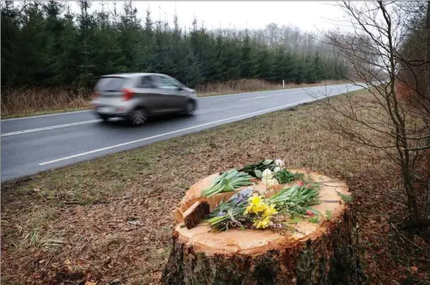  ?? ?? Gerningsst­edet på Parnasvej uden for Sorø, hvor en 55-årig mand blev draebt, da et trae faldt ned over hans bil natten til onsdag. Foto: Claus Bech/Ritzau Scanpix