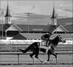  ?? PHOTOS BARBARA D. LIVINGSTON ?? At top, from left: Anthony Bonomo, Vinnie Viola, Terry Finley, and Anthony Manganaro at Churchill Downs. They are partners in Grade 1 winner Always Dreaming (above), who runs in the Kentucky Derby on Saturday.