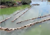  ?? PHOTO: GERARD HINDMARSH ?? After documentin­g these ancient disused fish traps, archaeolog­ist Dr Sinoto encouraged the locals to rebuild them, now fish are again harvested daily from them.