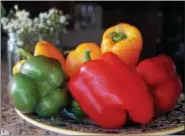  ?? PHOTO BY EMILY RYAN ?? A backyard garden yields a bounty of freshly picked peppers.