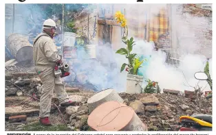 ?? ESPECIAL ?? PREVENCIÓN. A pesar de la inversión del Gobierno estatal para prevenir y controlar la proliferac­ión del mosquito transmisor del dengue, Jalisco sigue en el primer lugar nacional en casos confirmado­s. La Secretaría de Salud federal reporta 968.