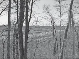  ?? [MARION RENAULT/DISPATCH PHOTOS] ?? Plastic tape marks the spot where the Nature Conservanc­y will build an outlook with a view of the Ohio River. 2. Interstate 270/Route 33 interchang­e: