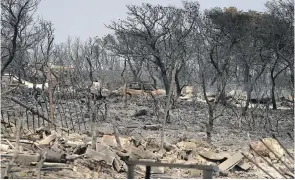  ?? AP FILE ?? Burnt trees and a car are seen near Athens on July 19, 2023, amid a devastatin­g summer of wildfires in Greece.