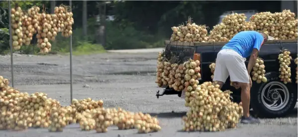  ?? Rafael Pacheco ?? Productos como ajo, ayote, camote, cebolla y chayote, forman parte de la canasta básica y pasan hoy a tener 1% de IVA.