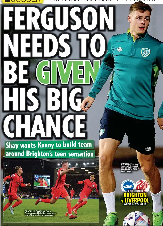  ?? ?? SEAGULLS SOARING: Evan Ferguson and Brighton have been one of the stories of the season
SUPERB: Ferguson is one of the most sought-after young players in the Premier League