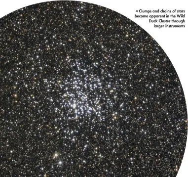  ??  ?? Clumps and chains of stars become apparent in the Wild Duck Cluster through larger instrument­s