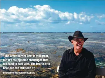  ??  ?? PRECIOUS: Professor Ove Hoegh-Guldberg, director of The University of Queensland’s Global Change Institute (above); and (above right) a snorkeller swimming with a turtle near Lady Elliot Island on the Great Barrier Reef.