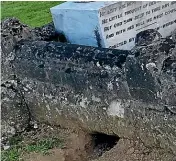  ??  ?? Joyce Hardwidge was appalled to see rabbits burrowing into graves when she visited her husband’s final resting place in Taihape Cemetery.