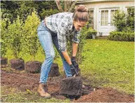  ?? FOTO: DJD ?? Das Frühjahr ist ein guter Zeitpunkt, um eine neue Hecke zu pflanzen.