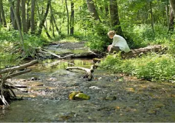  ??  ?? The trickling water of a river’s shallows proves a tempting place to sit awhile.