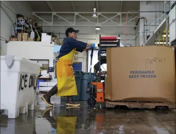  ?? ?? A worker moves fish into a freezer at Costarella Seafoods on Pier 45in San Francisco, Monday, March 20, 2023. On April 7, the Pacific Fishery Management Council, the regulatory group that advises federal officials, will take action on what to do about the 2023 season for both commercial and recreation­al salmon fishing.