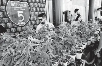  ?? RICHARD VOGEL AP FILE ?? The governor’s proposals were a disappoint­ment to leading marijuana businesses, which sought the eliminatio­n of the state’s cultivatio­n tax and a drop in the excise tax on retail sales from 15 percent to 5 percent.