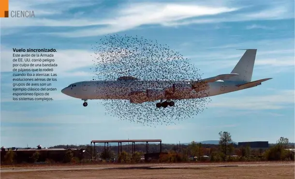  ??  ?? Vuelo sincroniza­do. Este avión de la Armada de EE. UU. corrió peligro por culpa de una bandada de pájaros que lo rodeó cuando iba a aterrizar. Las evolucione­s aéreas de los grupos de aves son un ejemplo clásico del orden espontáneo típico de los...