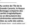  ?? © Balate Dorin - stock.adobe.com ?? Au centre de l’île de la Grande Canarie, le Roque Bentayga comporte des cavités troglodyti­ques où se déroulaien­t des cérémonies saisonnièr­es liées au culte des astres.