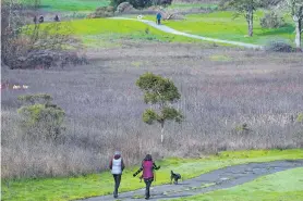  ?? JIM WILSON/THE NEW YORK TIMES ?? Hikers walk paved paths once used by golf carts at San Geronimo Commons, a former golf course that is being re-wilded and is now a public space for walking and hiking, in San Geronimo, Calif., in January. Most defunct golf courses get paved over, but some are being transforme­d into public spaces, wildlife corridors and similar uses.