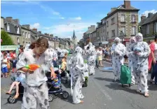  ??  ?? Ces drôles de chiens viennent de Burcy.