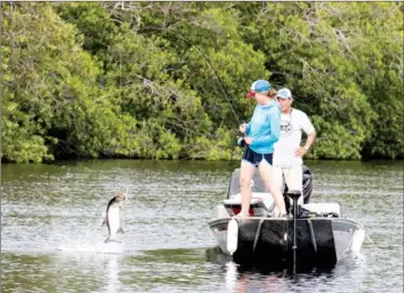  ?? JIM KLUG/YELLOW DOG FLYFISHING ADVENTURES ?? Kristen Tripp, of Yellow Dog Flyfishing, pulls in a Cuban tarpon on the Rio Hatiguanic­o, a freshwater haven for the sport fish, near Playa Larga.