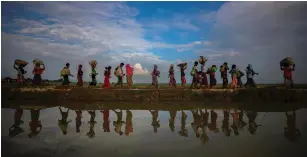  ?? (Hannah McKay/Reuters) ?? ROHINGYA REFUGEES walk next to paddy fields after fleeing from Myanmar into Palang Khali, near Cox’s Bazar, Bangladesh.