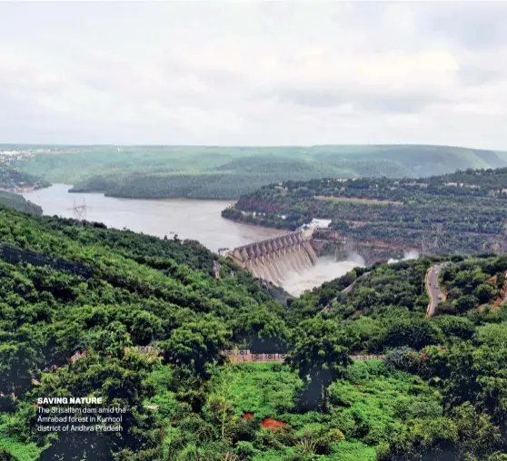  ??  ?? SAVING NATURE
The Srisailam dam amid the Amrabad forest in Kurnool district of Andhra Pradesh