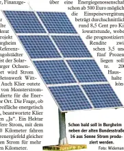  ?? Foto: Widemann ?? Schon bald soll in Burgheim neben der alten Bundesstra­ße 16 aus Sonne Strom produ ziert werden.