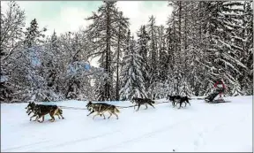  ??  ?? 25 mushers participer­ont à la Grande Odyssée entre Savoie et Haute-Savoie.