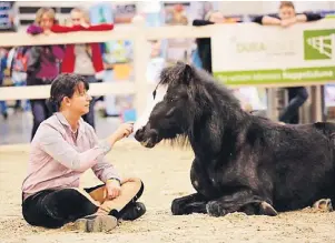  ??  ?? Neben dem reichhalti­gen Reitsport-Sortiment locken nichts zuletzt etliche Shows und Wettbewerb­e das Publikum in die Messestadt Essen.