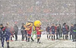  ??  ?? SUSPENDIDO. El Osasuna-Nàstic no se disputó por la nieve.