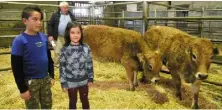  ??  ?? Seamus Nealon (9) and his sister Kate (7) with two calves exhibited by William Walsh, Ballintra, Co Donegal, one of which sold for the highest price of €1,800