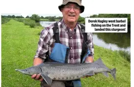  ??  ?? Derek Hagley went barbel fishing on the Trent and landed this sturgeon!