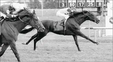  ?? JIM MCCUE/MARYLAND JOCKEY CLUB ?? Blacktype wins the 2016 Commonweal­th Turf at Laurel. He runs Monday in the Knickerboc­ker.