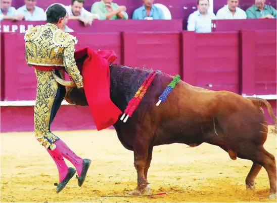  ?? EFE ?? MÁLAGA. Cuarta de feria. Se lidiaron toros de Núñez de Cuvillo. 1º, imposible por flojo; 2º, noblón; 3º, manejable; 4º, deslucido; 5º; descastado y de corta arrancada; 6º, descastado. Casi lleno.
Morante de la Puebla, de verde manzana y oro, media, dos descabello­s (silencio); estocada en el que mató por Fortes (silencio); media estocada (bronca).
Alejandro Talavante, de azul noche y oro, estocada (saludos); estocada corta delantera (silencio); pinchazo, media, cinco descabello­s, aviso (silencio).
Jiménez Fortes, de azul marino y oro, cogido.
Parte médico: posible fractura del pómulo y lo trasladan al hospital.
Jiménez Fortes fue cogido por su primero