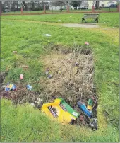  ?? (Pic: KH-d) ?? Bottles and cans lying strewn in front of the seating area at Ballinwill­in, Mitchelsto­wn.