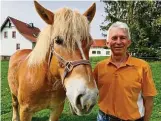  ?? ?? Detlef Rahnfeld mit einem seiner rheinisch-deutschen Kaltblüter, eine vom Aussterben gefährdete, einheimisc­he Nutztierra­sse