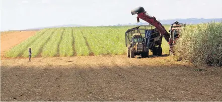  ?? GUSTAVO MAGNUSSON/ESTADÃO - 14/5/2010 ?? Novo cenário. Para os agricultor­es e pecuarista­s, conseguir financiame­nto para a safra se tornou tarefa mais fácil