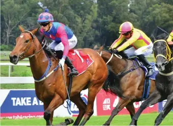  ?? Picture: JC Photograph­ics ?? FORM. One Fell Swoop is racing at the top of her game and looks the runner to beat in the Grade 3 Betway Sycamore Sprint over 1160m at Turffontei­n tomorrow.