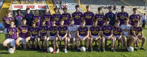  ??  ?? The Wexford Minor footballer­s who experience­d constrasti­ng fortunes in their two games last week.