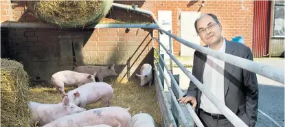  ??  ?? Schweinere­i in Brüssel? Agrarminis­ter Christian Schmidt (CSU) eckt mit seinem Glyphosat-Votum an.