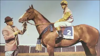  ??  ?? Owner/trainer Syd Laird, with the great Sea Cottage and below, former racehorse trainer Johnny Nicholson with a picture of the champion, Beau Art, which has pride of place in his home.