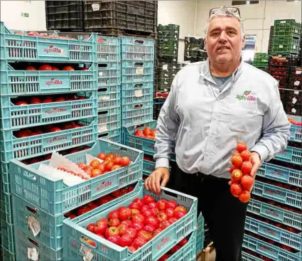  ?? Fotos: PEP CÓRCOLES ?? Miquel Bennàssar es el responsabl­e de compravend­a de la corporació­n Agroilla.