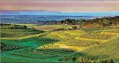  ??  ?? Das ganzjährig milde Klima und die besondere Zusammense­tzung des Bodens lassen im Anbaugebie­t McLaren Valeeinen einen der besten Weine der Welt reifen. Foto: djd/South Australia Tourism Commission/Dragan Radocaj