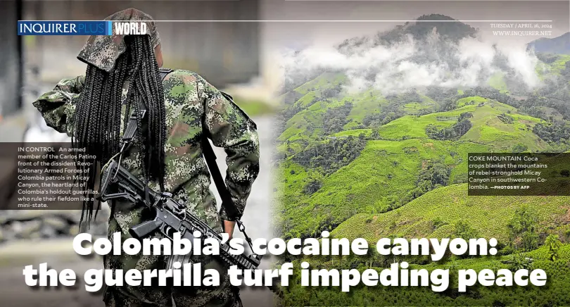  ?? —PHOTOS BY AFP ?? IN CONTROL An armed member of the Carlos Patino front of the dissident Revolution­ary Armed Forces of Colombia patrols in Micay Canyon, the heartland of Colombia’s holdout guerrillas, who rule their fiefdom like a mini-state.
COKE MOUNTAIN Coca crops blanket the mountains of rebel-stronghold Micay Canyon in southweste­rn Colombia.