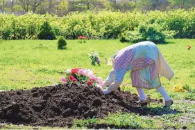  ?? SETH WENIG/ASSOCIATED PRESS ?? Erika Bermudez leans over the grave of her mother, Eudiana Smith, on May 2 at Bayview Cemetery in Jersey City, N.J. Smith died of COVID-19.