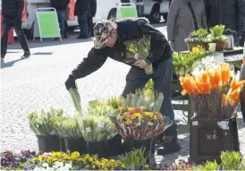  ??  ?? KÖP EN TULPAN, ANNARS... blomsterha­ndlaren.